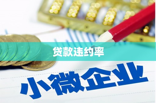 青山湖贷款违约率