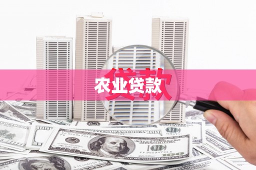 永新农业贷款