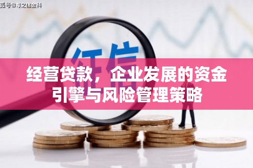 镇雄经营贷款，企业发展的资金引擎与风险管理策略