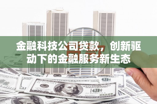 上林金融科技公司贷款，创新驱动下的金融服务新生态