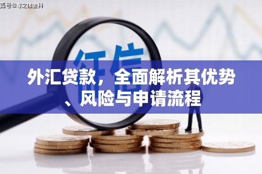 镇巴外汇贷款，全面解析其优势、风险与申请流程