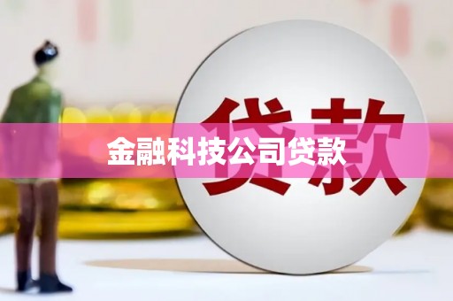 龙文金融科技公司贷款