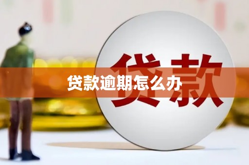 兴平贷款逾期怎么办
