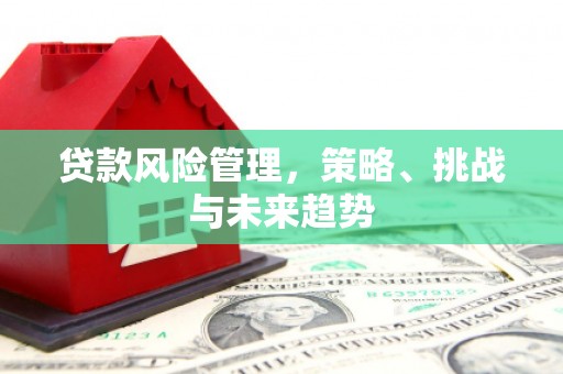 红岗贷款风险管理，策略、挑战与未来趋势