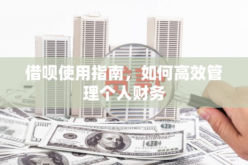 惠东借呗使用指南，如何高效管理个人财务
