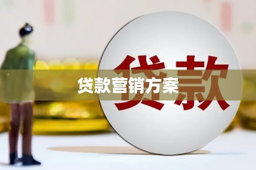 卢氏贷款营销方案