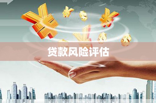 班玛贷款风险评估