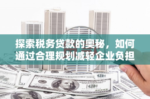 邵阳探索税务贷款的奥秘，如何通过合理规划减轻企业负担
