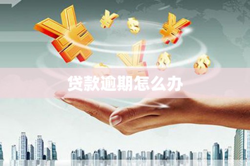 绛县贷款逾期怎么办