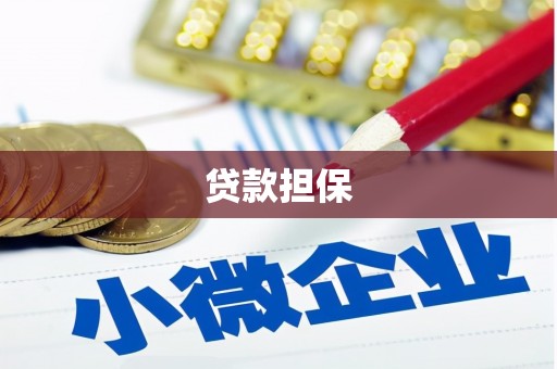 琼中贷款担保