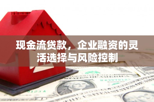 保税区现金流贷款，企业融资的灵活选择与风险控制