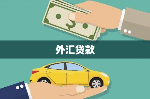海盐外汇贷款