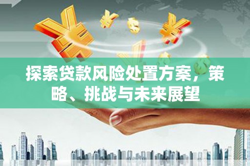 泸州探索贷款风险处置方案，策略、挑战与未来展望
