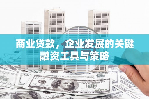 乌伊岭商业贷款，企业发展的关键融资工具与策略