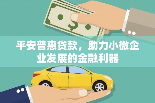 武汉平安普惠贷款，助力小微企业发展的金融利器