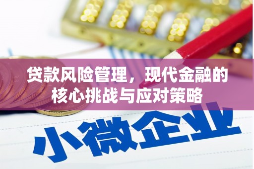 来宾贷款风险管理，现代金融的核心挑战与应对策略