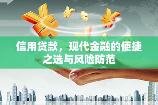 泰来信用贷款，现代金融的便捷之选与风险防范