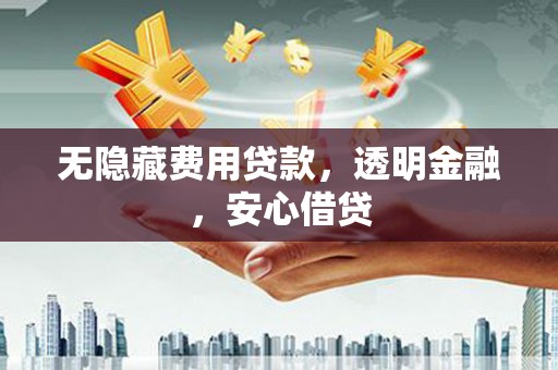 太保无隐藏费用贷款，透明金融，安心借贷