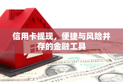 丰顺信用卡提现，便捷与风险并存的金融工具