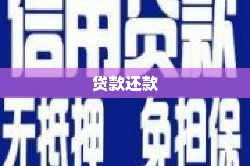 卢龙贷款还款