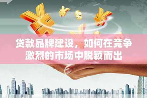 大武贷款品牌建设，如何在竞争激烈的市场中脱颖而出