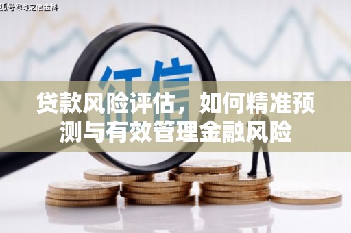阿莲贷款风险评估，如何精准预测与有效管理金融风险