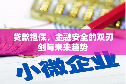 秦安贷款担保，金融安全的双刃剑与未来趋势