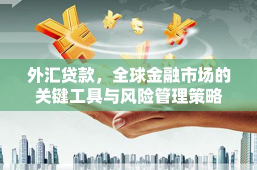 修水外汇贷款，全球金融市场的关键工具与风险管理策略