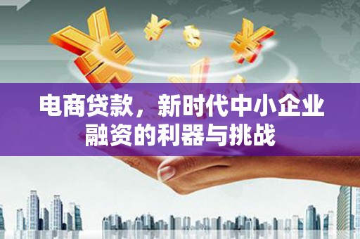 汤原电商贷款，新时代中小企业融资的利器与挑战