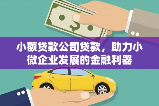 东台小额贷款公司贷款，助力小微企业发展的金融利器