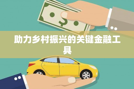 保税区助力乡村振兴的关键金融工具