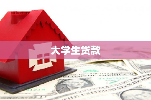 林西大学生贷款