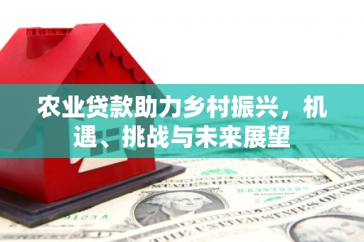 和静农业贷款助力乡村振兴，机遇、挑战与未来展望