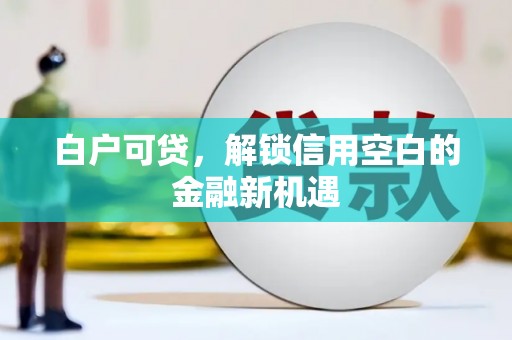 衡阳白户可贷，解锁信用空白的金融新机遇