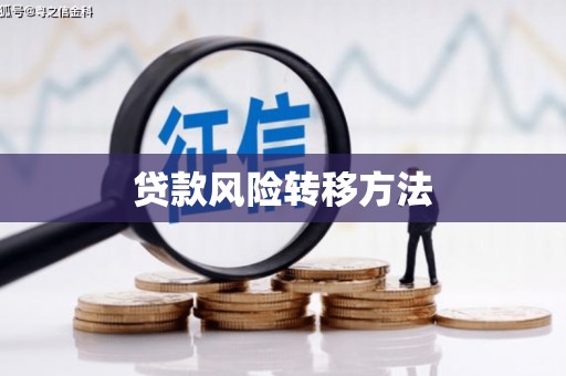岑巩贷款风险转移方法
