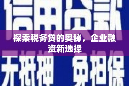 容县探索税务贷的奥秘，企业融资新选择