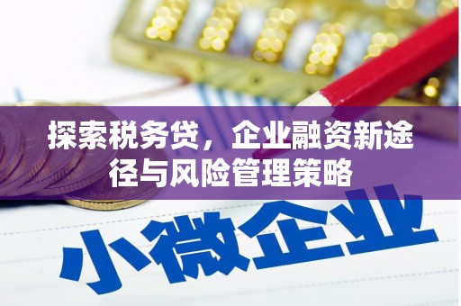 清镇探索税务贷，企业融资新途径与风险管理策略