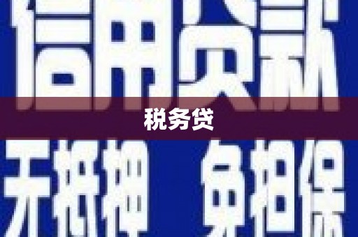 大渡口税务贷