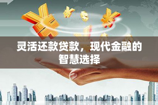 沈丘灵活还款贷款，现代金融的智慧选择