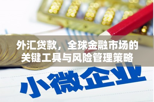 甘泉外汇贷款，全球金融市场的关键工具与风险管理策略
