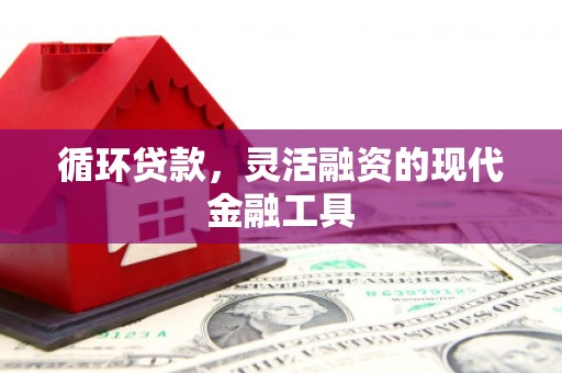 阜阳循环贷款，灵活融资的现代金融工具