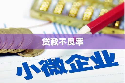 洮南贷款不良率