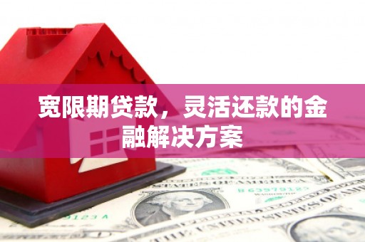 虾峙宽限期贷款，灵活还款的金融解决方案