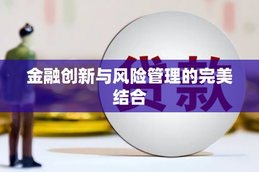 新龙金融创新与风险管理的完美结合