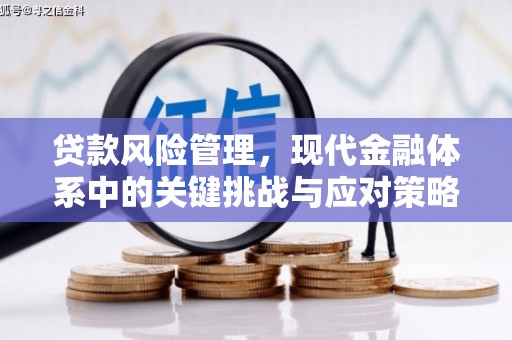 嘉荫贷款风险管理，现代金融体系中的关键挑战与应对策略