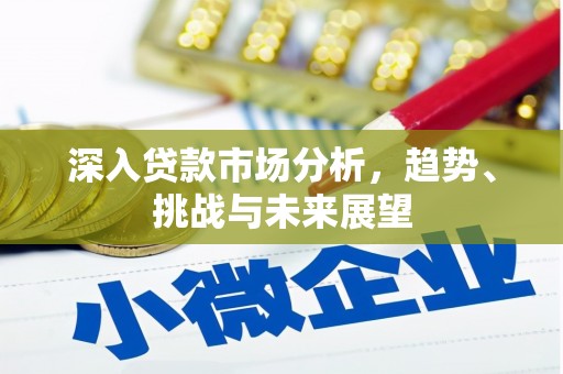 芷江深入贷款市场分析，趋势、挑战与未来展望