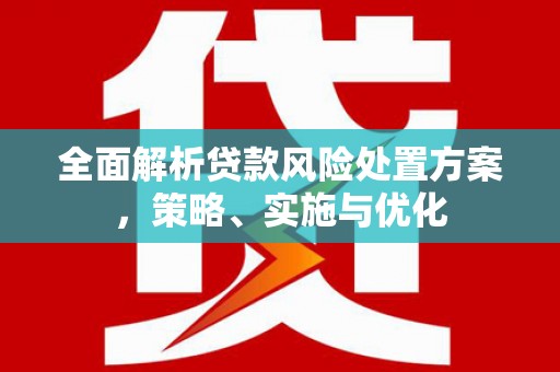 修武全面解析贷款风险处置方案，策略、实施与优化