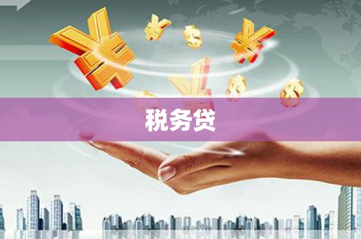 张家川税务贷