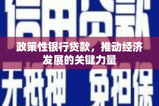 虞城政策性银行贷款，推动经济发展的关键力量
