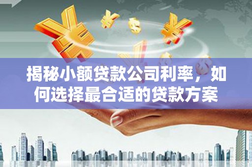 兴山揭秘小额贷款公司利率，如何选择最合适的贷款方案